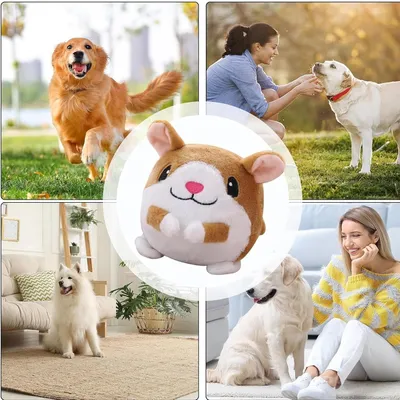 Jouet peluche interactif pour chien
