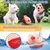 Jouet peluche interactif pour chien
