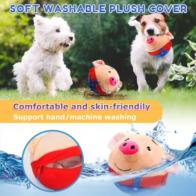 Jouet peluche interactif pour chien
