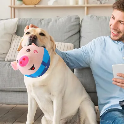 Jouet peluche interactif pour chien Jouet peluche interactif pour chien