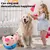 Jouet peluche interactif pour chien Jouet peluche interactif pour chien