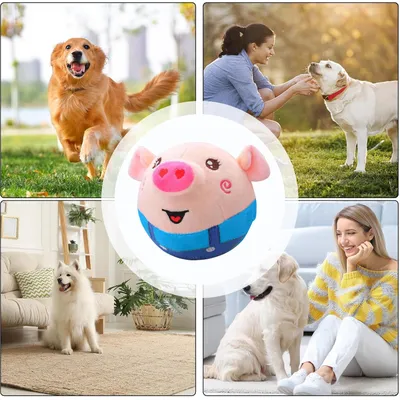 Jouet peluche interactif pour chien Jouet peluche interactif pour chien