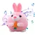 Lapin rose