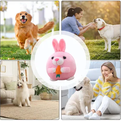 MCBOSON Jouet peluche interactif pour chien