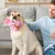 MCBOSON Jouet peluche interactif pour chien