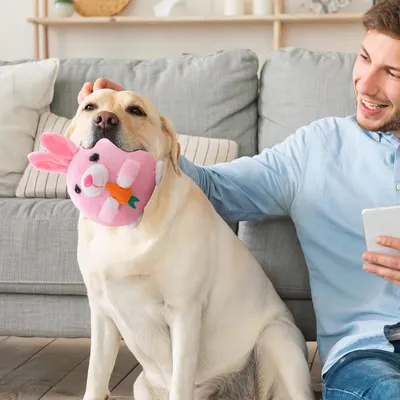 MCBOSON Jouet peluche interactif pour chien