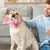 MCBOSON Interaktives Plüsch-Hundespielzeug MCBOSON Interaktives Plüsch-Hundespielzeug