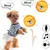 Jouet peluche interactif pour chien