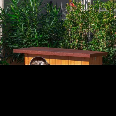 Niche pour Chiens Baita Marron Maison de Chien Chat Multi-taille