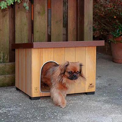 Ferplast Niche pour chiens en bois de pin nordique FSC - 5 BAITA