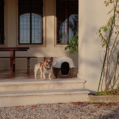 Ferplast Niche pour chiens en résine thermo-plastique - 5 KENNY