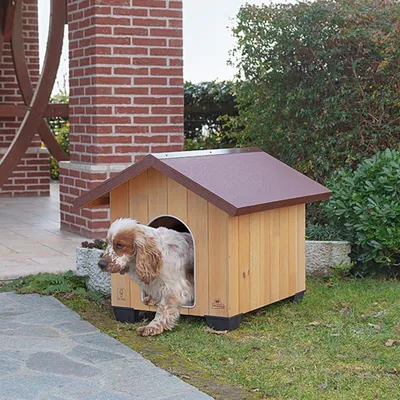 Niche pour Chiens Bois Enclos Maison pour Chiens Multi-taille