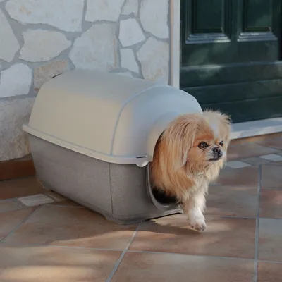 Ferplast Niche pour chiens en résine thermo-plastique - 5 KENNY