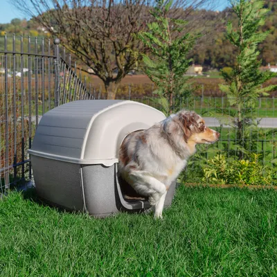 Ferplast Niche pour chiens en résine thermo-plastique - 5 KENNY
