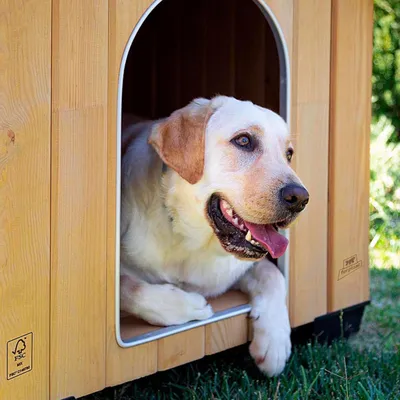 Ferplast Niche pour chiens en bois FSC - 6 tailles DOMUS