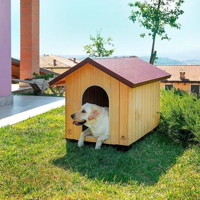 Ferplast Niche pour chiens en bois FSC - 6 tailles DOMUS