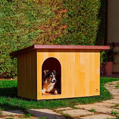 Ferplast Niche d'extérieur pour chien Ferplast BAITA, en BAITA