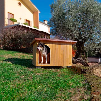 Ferplast Niche d'extérieur pour chien Ferplast BAITA 100, BAITA 100