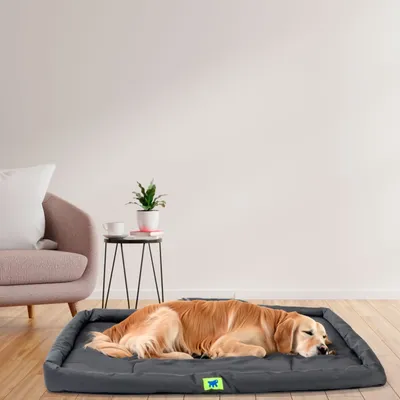 Ferplast Petit matelas en tissu technique pour chiens. TENDER TECH