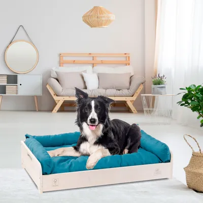 Ferplast Ferplast Hall mittelgroßes Indoor-Hundebett aus HALL