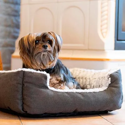 Ferplast Niche en coton et fourrure écologique pour chiens SWEETIE