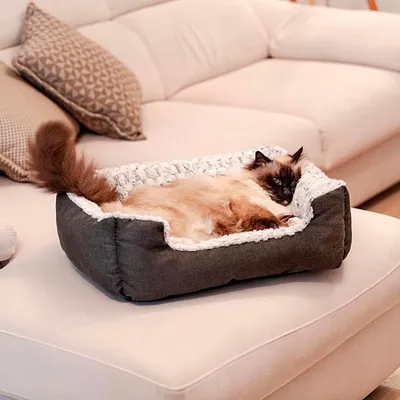 Ferplast Niche en coton et fourrure écologique pour chiens SWEETIE