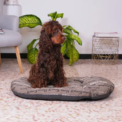 Ferplast Coussin en coton avec rembourrage doux. Diverses RELAX C