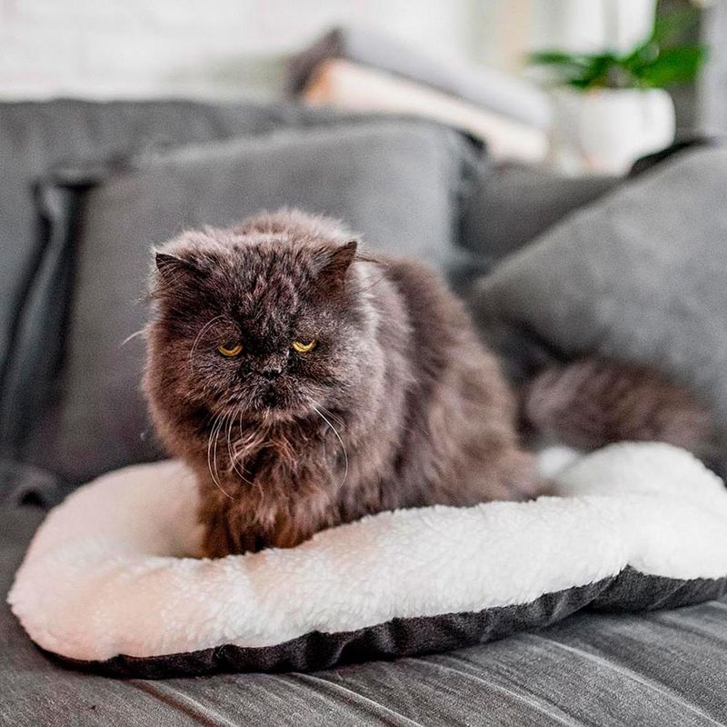 Ferplast Coussin en coton et peluche pour chiens et chats. RELAX F