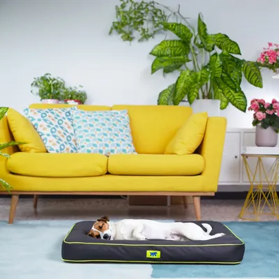 Lit pour Chiens Matelas Tapis de Chat /Marron Multi-Taille