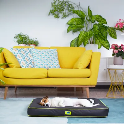 Lit pour Chiens Matelas Tapis de Chat /Marron Multi-Taille