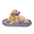 Ferplast Coussin en coton et peluche pour chiens et chats. RELAX F