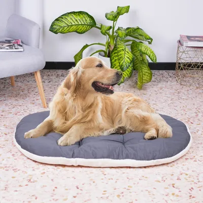 Ferplast Coussin en coton et peluche pour chiens et chats. RELAX F