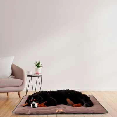 Ferplast Matelas en tissu technique. En différentes JOLLY