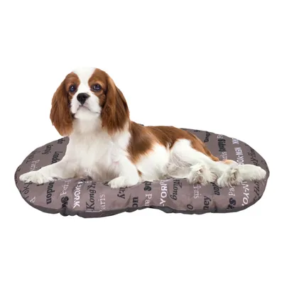 Ferplast Coussin en coton avec rembourrage doux. Diverses RELAX C