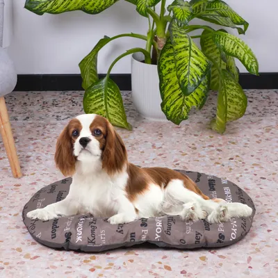 Ferplast Coussin en coton avec rembourrage doux. Diverses RELAX C
