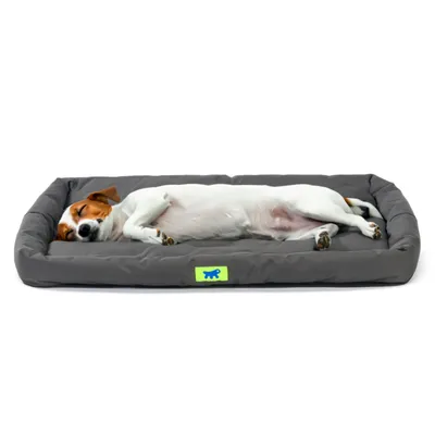 Ferplast Petit matelas en tissu technique pour chiens. TENDER TECH