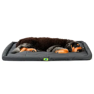 Matelas pour Chiens Coussin Oreiller Lit Animaux Plusieurs dimensions