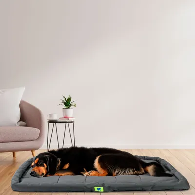 Matelas pour Chiens Coussin Oreiller Lit Animaux Plusieurs dimensions
