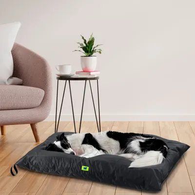 Ferplast Matelas déhoussable pour chiens. Différentes OLYMPIC