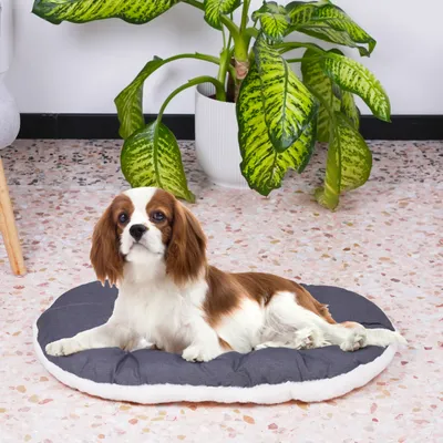 Ferplast Coussin en coton et peluche pour chiens et chats. RELAX F