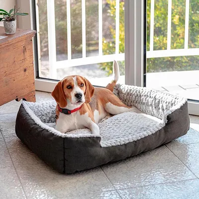 Ferplast Niche en coton et fourrure écologique pour chiens SWEETIE