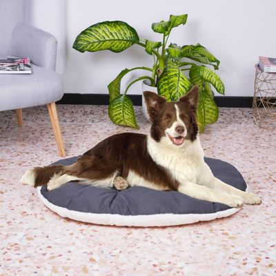 Ferplast Coussin en coton et peluche pour chiens et chats. RELAX F