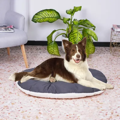 Ferplast Coussin en coton et peluche pour chiens et chats. RELAX F