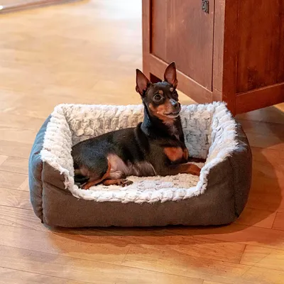 Ferplast Niche en coton et fourrure écologique pour chiens SWEETIE