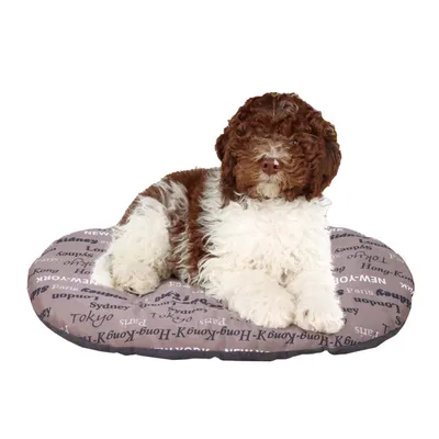 Ferplast Coussin en coton avec rembourrage doux. Diverses RELAX C