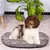 Ferplast Coussin en coton avec rembourrage doux. Diverses RELAX C