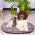 Ferplast Coussin en coton avec rembourrage doux. Diverses RELAX C