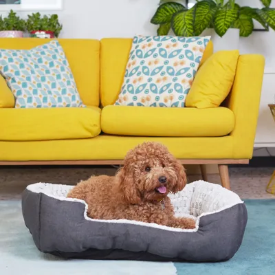 Ferplast Niche en coton et fourrure écologique pour chiens SWEETIE