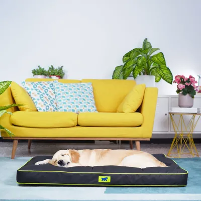 Lit pour Chiens Matelas Tapis de Chat /Marron Multi-Taille