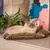 Ferplast Coussin en coton avec rembourrage doux. Diverses RELAX C